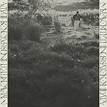 Amazon.co.jp: ぼちぼち銀河 - 柴田聡子: ミュージック